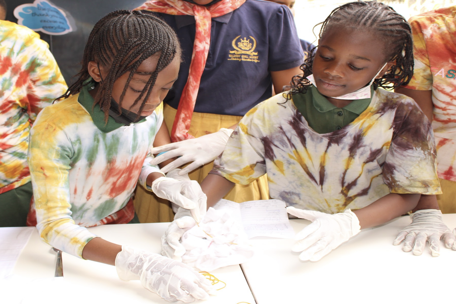Waldorf Knoll Academy